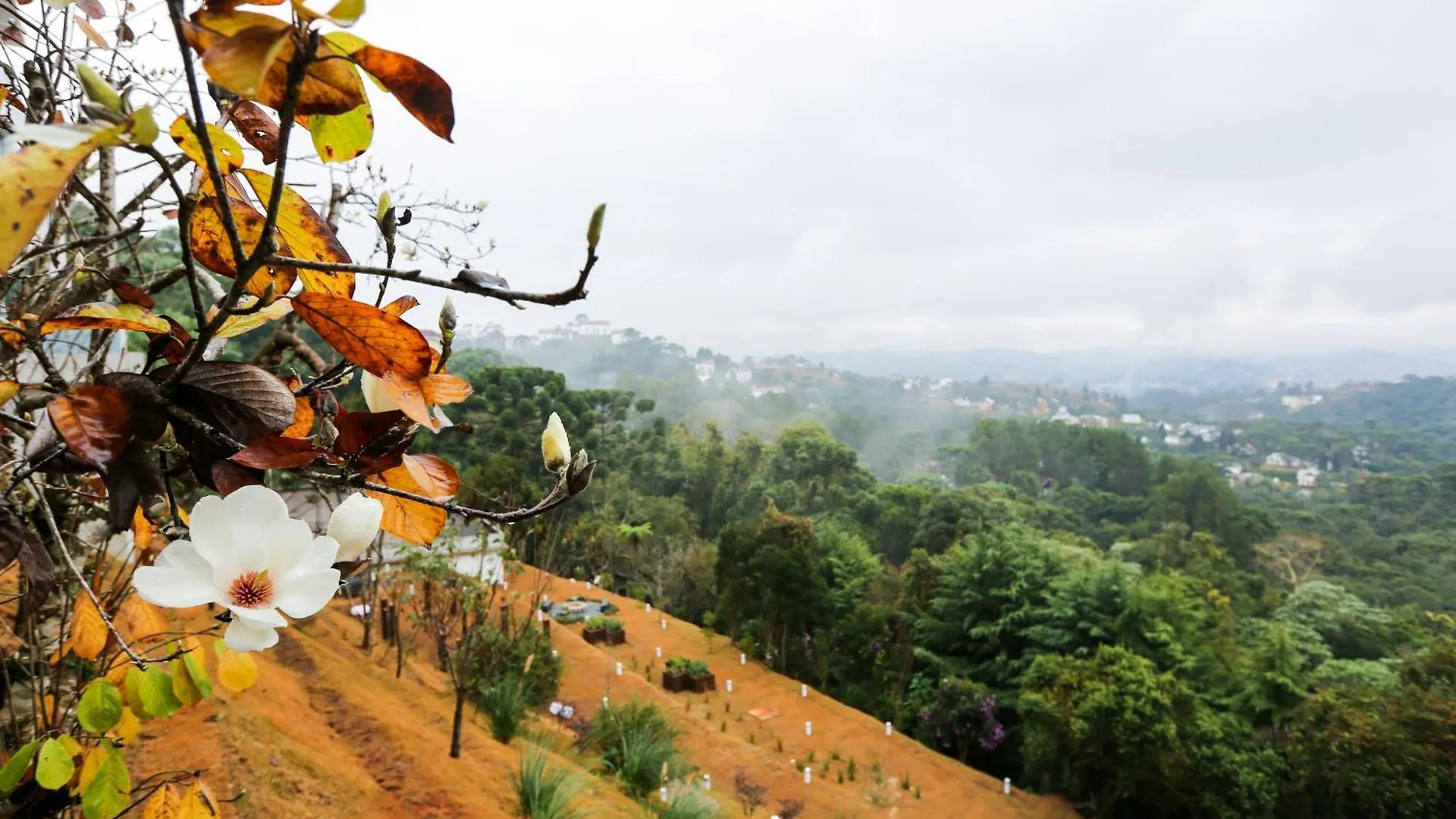 Aparthotel Hotel Boutique & Spa Carpe Diem 1Q-1B Campos do Jordao