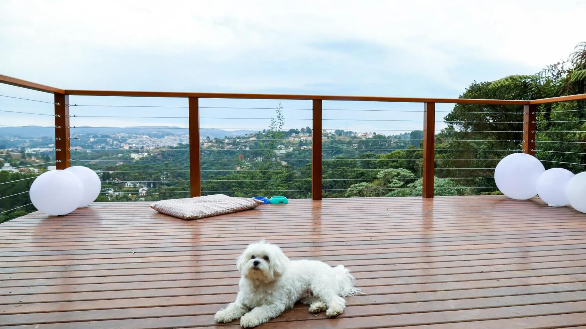 Hotel Boutique & Spa Carpe Diem 1Q-1B Campos do Jordao Aparthotel